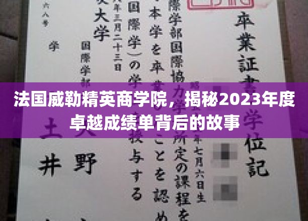 解码威勒精英商学院，2023年度辉煌成就背后的非凡历程