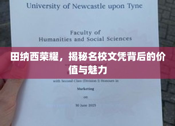 探寻田纳西名校光环，文凭背后的价值与非凡魅力