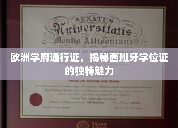 跨国学术通行证，西班牙学位证的全球吸引力解析