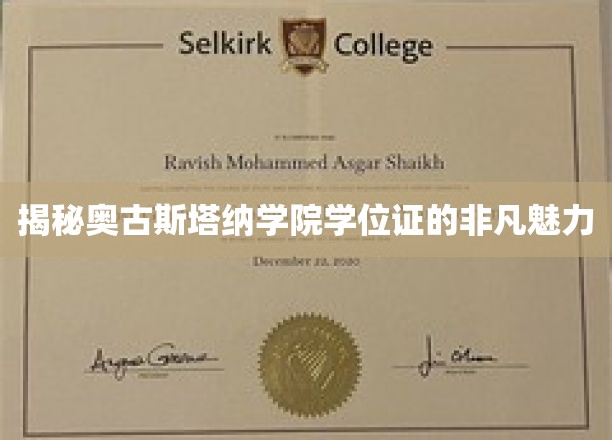 揭秘奥古斯塔纳学院学位证的非凡魅力