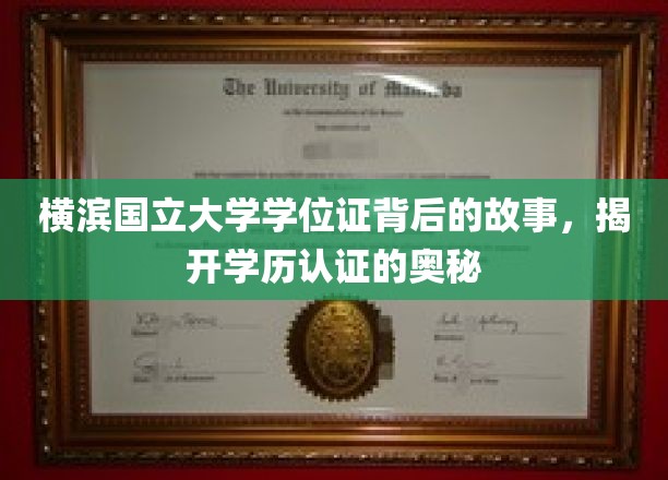 横滨国立大学学位证之谜，探寻学历认证的深度解读