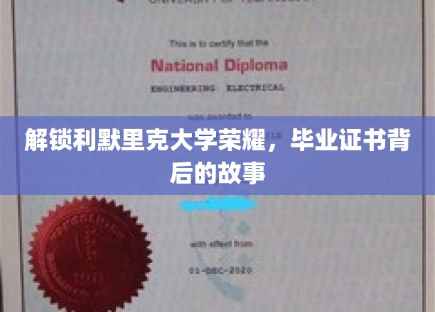 探寻利默里克大学卓越背后，毕业证书的非凡历程