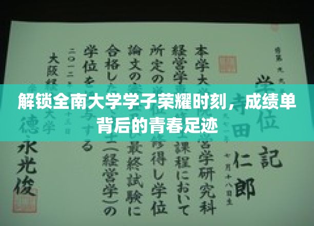 全南大学风采再现，揭秘学子荣耀背后的青春篇章