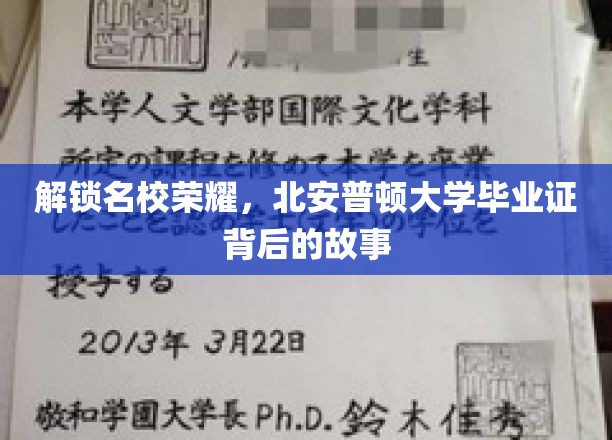 北安普顿荣耀启程，揭开毕业证书背后的璀璨传奇