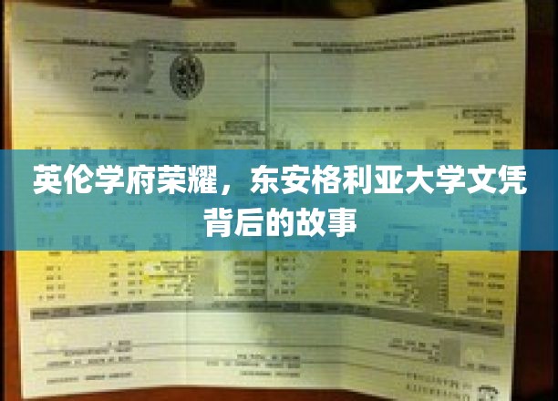 英伦学府荣耀，东安格利亚大学文凭背后的故事