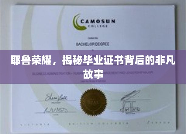 耶鲁荣耀深探，毕业证书背后的传奇之旅