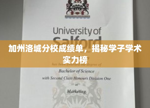 加州学子学霸风云录，洛城分校成绩单背后的实力较量