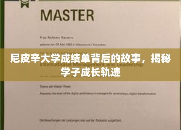 尼皮辛大学成绩单背后的故事，揭秘学子成长轨迹