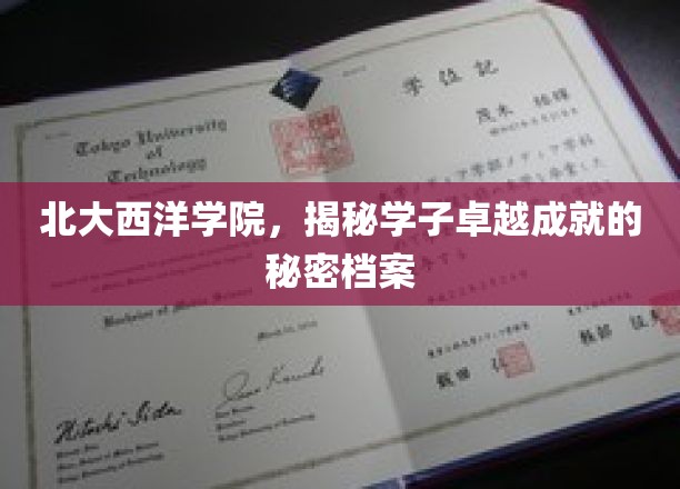北大西洋学院，揭秘学子卓越成就的秘密档案