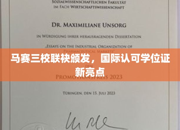 马赛三校联手创新，国际学位认证引领教育新潮流