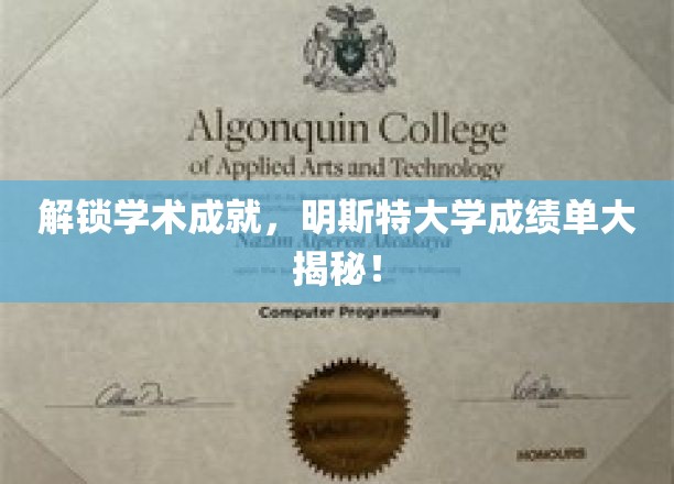 解锁学术成就，明斯特大学成绩单大揭秘！