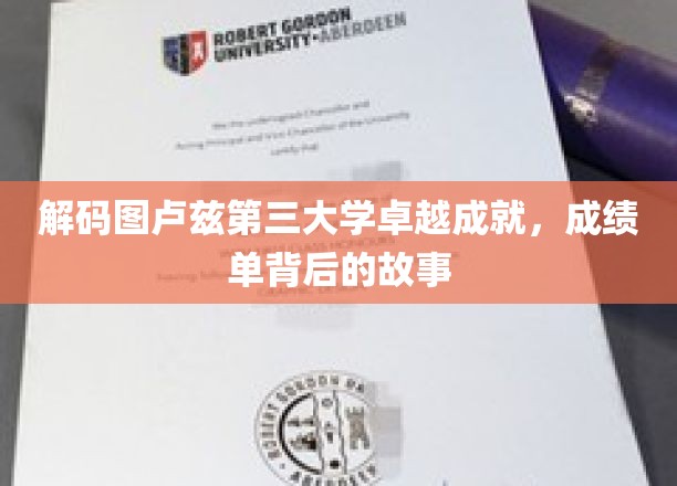 图卢兹第三大学辉煌成就揭秘，探寻成绩单背后的传奇故事