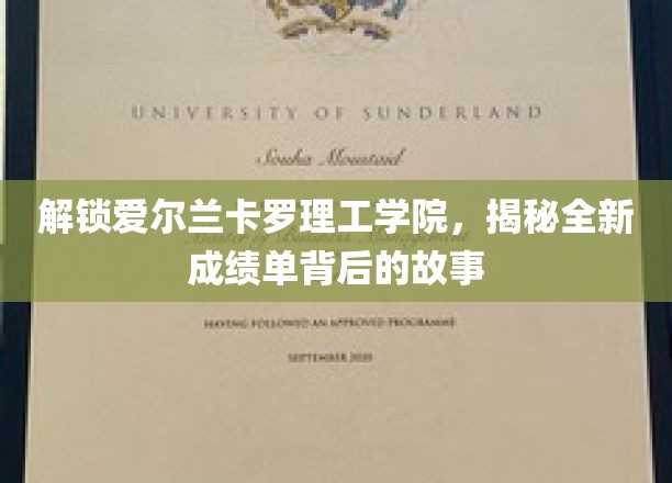 解锁爱尔兰卡罗理工学院，揭秘全新成绩单背后的故事