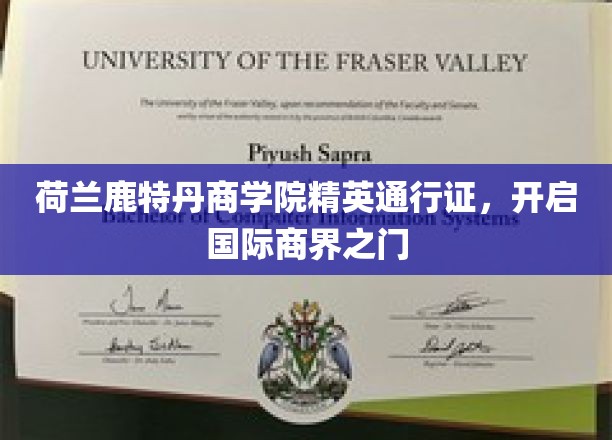 荷兰鹿特丹商学院精英通行证，开启国际商界之门