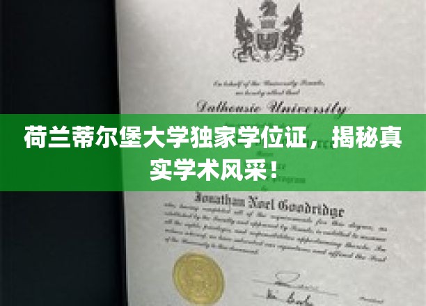 荷兰蒂尔堡大学学位证背后的学术魅力大揭秘！