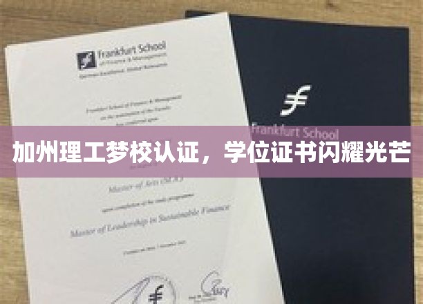 加州理工骄子荣耀，证书闪耀，成就非凡之路