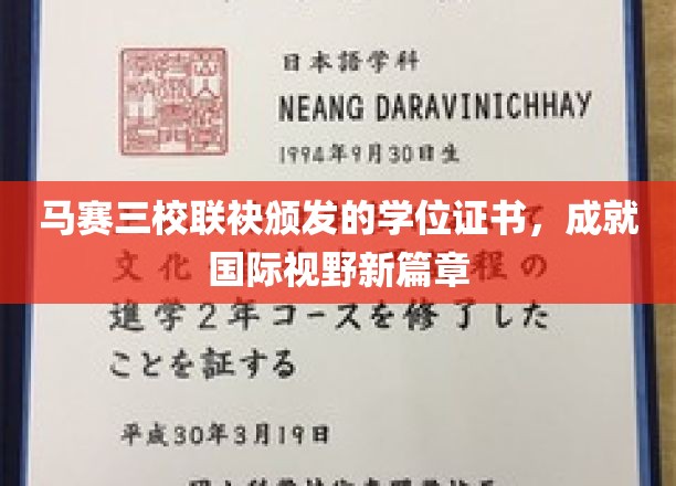 马赛三校联颁学位，开启全球视野新纪元