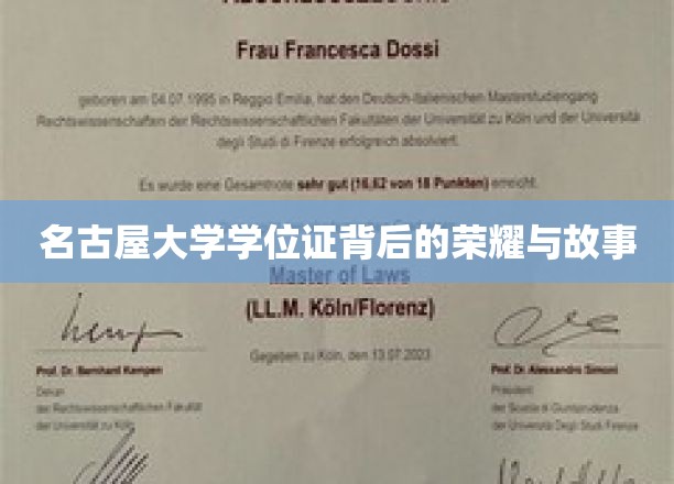 名古屋大学学位证，探寻荣耀背后的传奇篇章