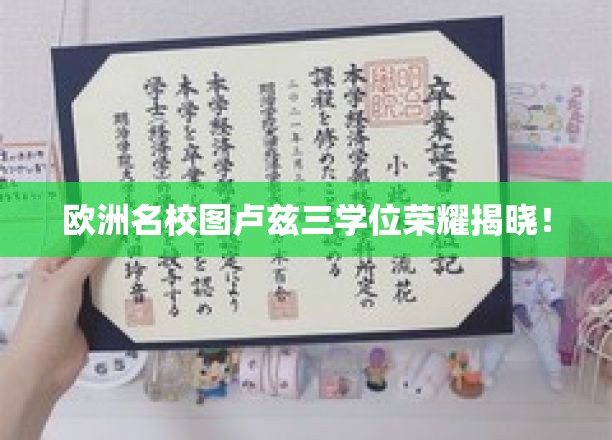 解锁欧洲教育高地，图卢兹三学位荣耀盛典即将绽放！