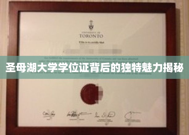 探寻圣母湖大学学位证的神秘光环，一纸证书，千般故事