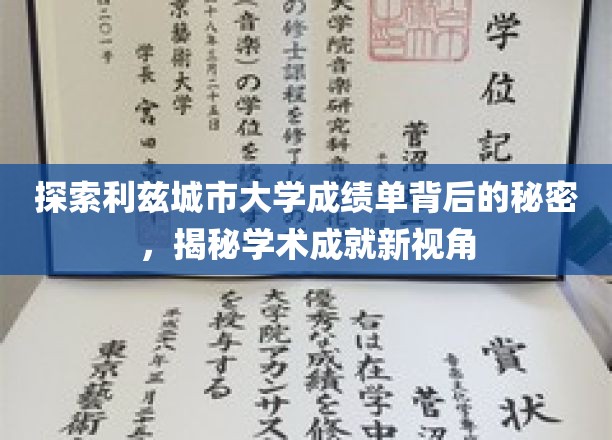 探索利兹城市大学成绩单背后的秘密，揭秘学术成就新视角