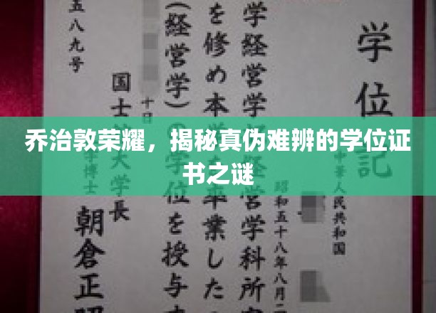 乔治敦之谜，真假学位证书背后的秘密世界