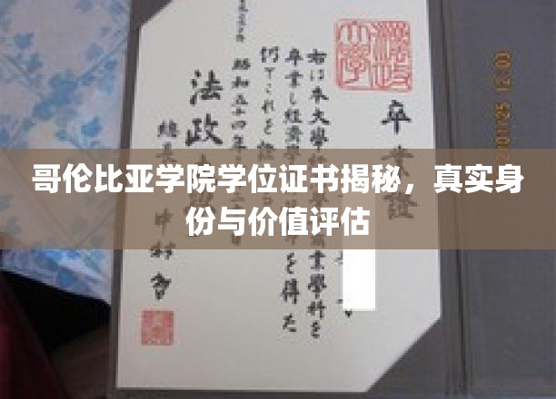 哥伦比亚学院学位证书，探寻其背后的真实价值与身份之谜