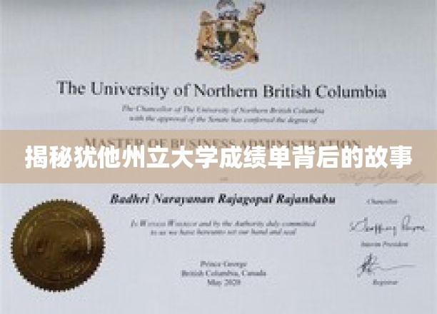 揭开犹他州立大学成绩单的神秘面纱，一场不为人知的学术之旅
