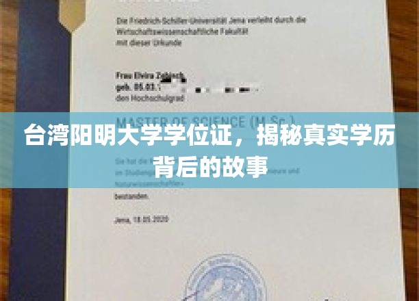 台湾阳明大学学位证之谜，揭开学历背后的传奇篇章