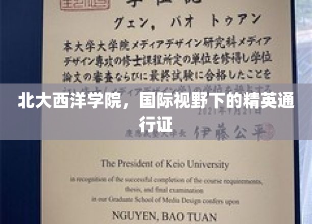 北大西洋学院，开启全球精英教育之旅的璀璨之钥