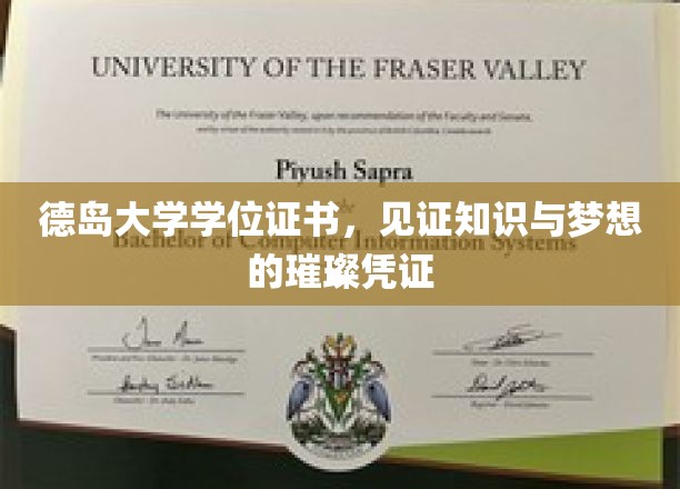 德岛大学学位证书，见证知识与梦想的璀璨凭证