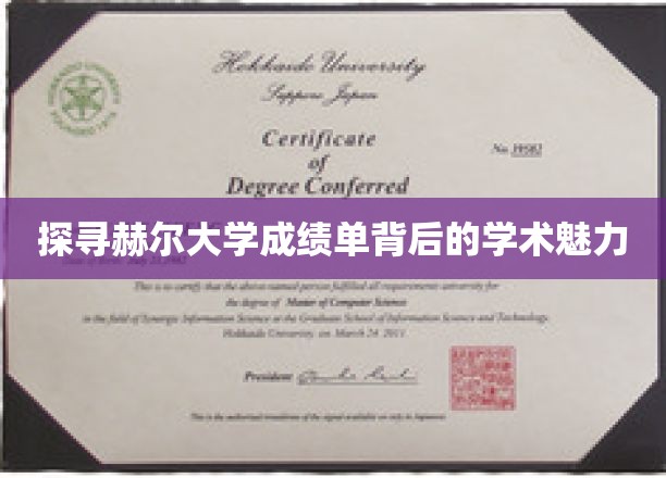 揭秘赫尔大学，成绩单中的学术秘密与魅力之光