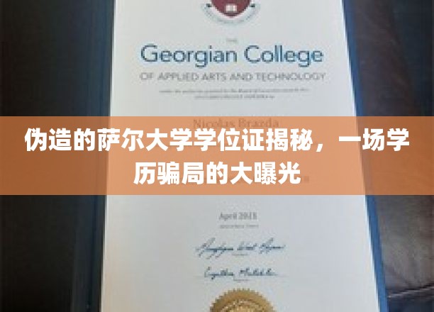 学历陷阱大揭秘，伪造萨尔大学学位证背后的学历骗局曝光