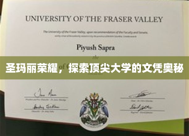 解码圣玛丽荣耀，揭秘顶尖大学文凭背后的秘密