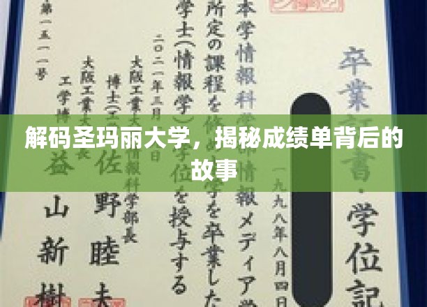 解码圣玛丽大学，揭秘成绩单背后的故事