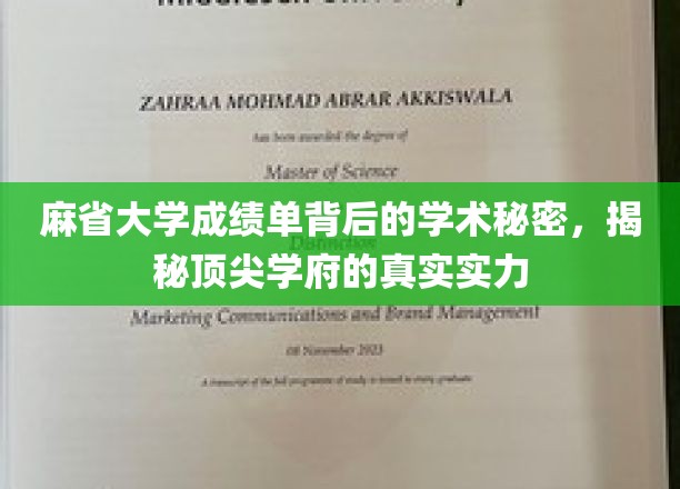 解码麻省大学成绩单，一窥顶尖学府的学术内核