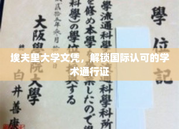埃夫里大学文凭，解锁国际认可的学术通行证