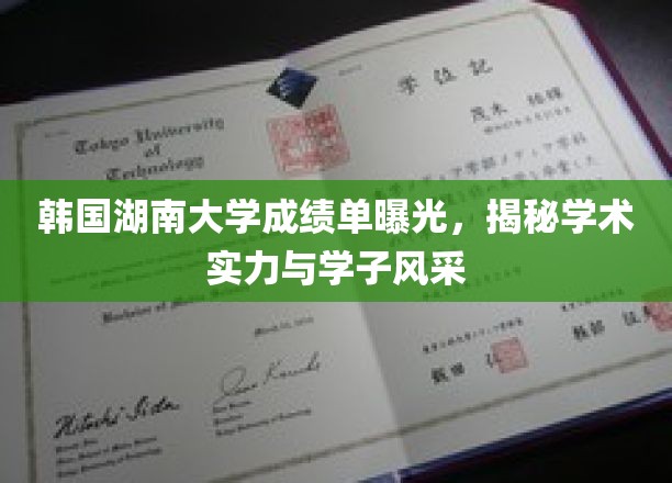 韩湘风云，揭秘湖南大学学子实力与风采的华丽成绩单