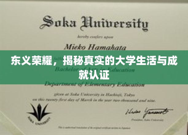 东义荣耀，揭秘真实的大学生活与成就认证