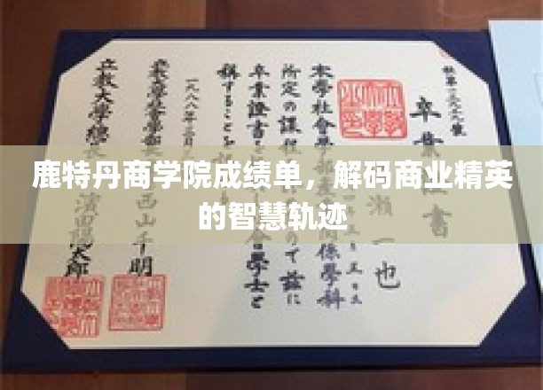 商界轨迹揭秘，鹿特丹商学院学霸们的智慧成长之路