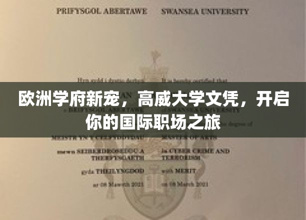 跨国职场通行证，高威大学文凭，引领你的欧洲学术与职业新篇章