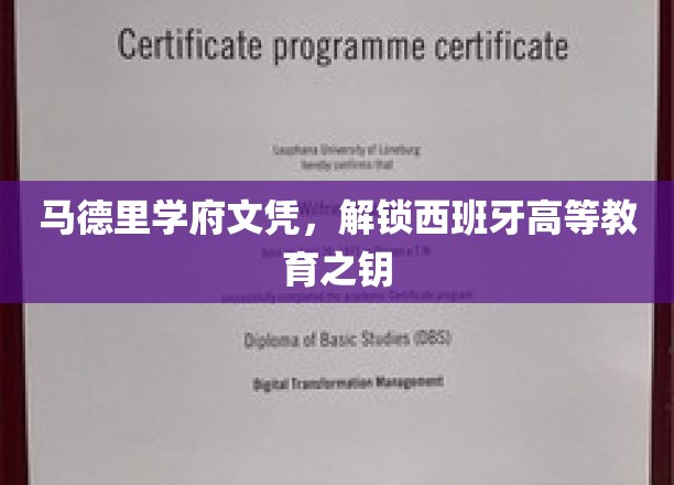 马德里学府文凭，开启西班牙高等学府之门