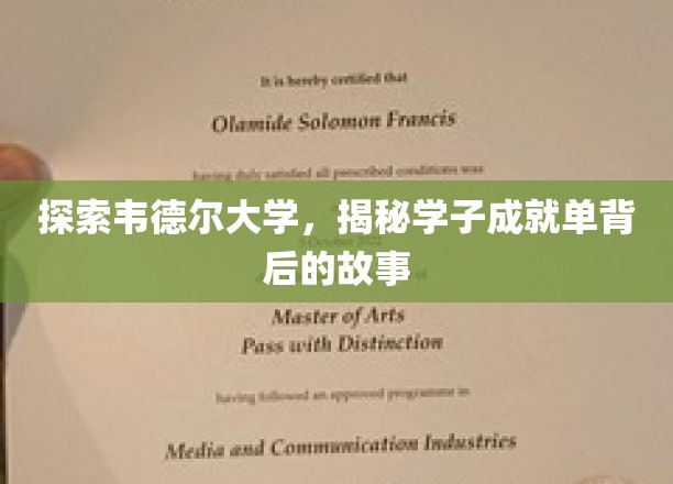 探索韦德尔大学，揭秘学子成就单背后的故事