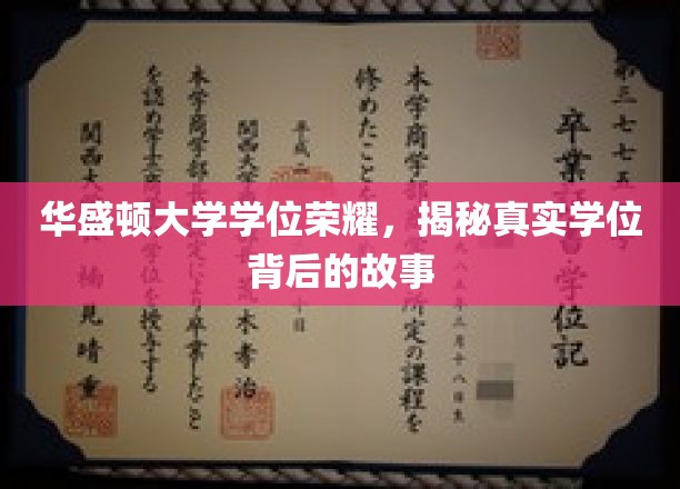 华盛顿大学荣耀探秘，学位背后的不凡历程