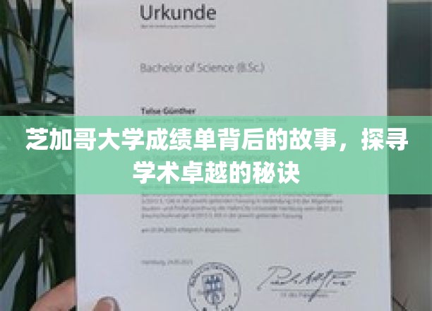 揭秘芝加哥大学成绩单，探寻学术精英背后的传奇之路