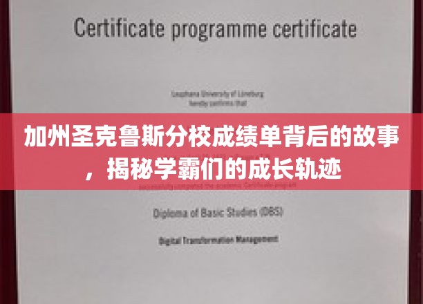 解码学霸养成，加州圣克鲁斯分校成绩单背后的非凡历程
