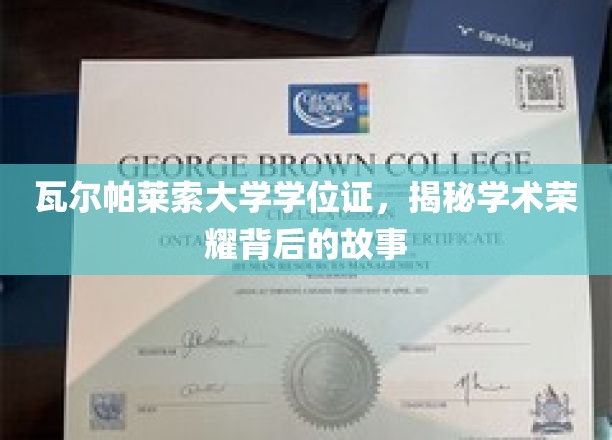 瓦尔帕莱索荣耀证，探寻学位背后的学术传奇