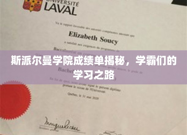 斯派尔曼学院成绩单揭秘，学霸们的学习之路