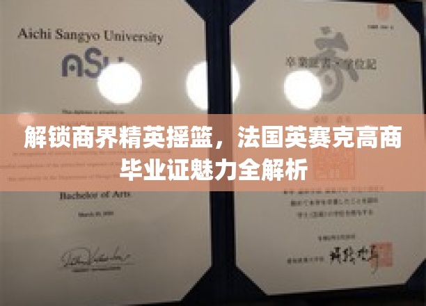 法国英赛克高商，揭秘商界精英的摇篮，毕业证背后的独到魅力