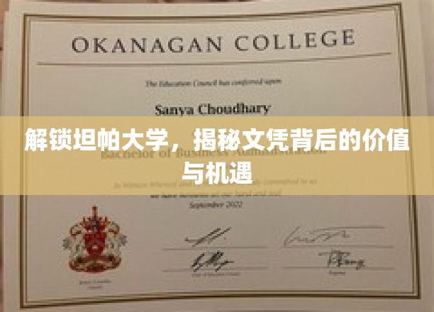 解锁坦帕大学，揭秘文凭背后的价值与机遇